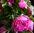 wieniec-okragly-rozowa-peonia_11.png