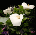 wiazanka-pogrzebowa-bialo-fioletowa_003_k.png