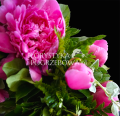 wieniec-okragly-rozowa-peonia_12.png